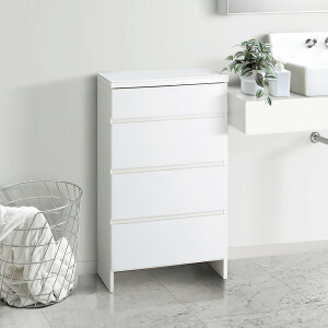 lH嗝ΓV̔^h[`FXg 45cms30cm80cm ʏ[ Ԏ[ gC ʏ h[[ 541627