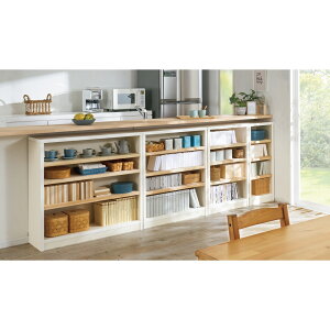 国産檜1cmピッチラック 幅100奥行29本体高さ93cm ウッドラック 木製シェルフ 本棚 ラック シェルフ 543714