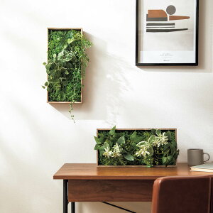 Ebht[EH[O[ tFCN CeAO[ lHϗtA  521805