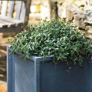 yN[|Si10OFF 11/11 1F59z ueBbVFRPv^[ L[u L v^[ Aؔ Jo[ G86911