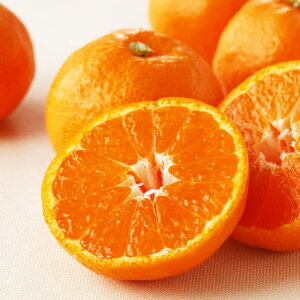 QY ůۂ݂ S[h痼v 3kgy12{-12{͂z t[c  ʕ NH1166