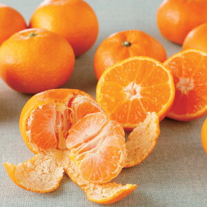 高知産 「山北みかん」 5kg【12月上旬-12月下旬頃お届け】 フルーツ 野菜 果物 NH1176