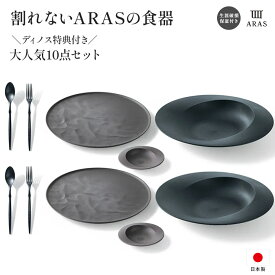 ARAS ディノス大人気10点セット 特典付き セット 食器セット おしゃれ 新生活 皿 平皿 長皿 ワンプレート 食器 KR0902 ＼LINE友だち登録でクーポン／