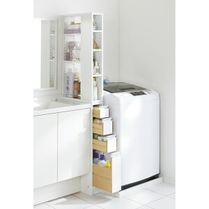 [o₷3ʃI[vԎ[ 15cm ʏ[ Ԏ[ gC ʏ h[[ 526637