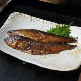 滋賀県・琵琶湖産わけあり鮎甘露煮 120g×3袋 和惣菜 お惣菜 NH1828 ＼LINE友だち登録でクーポン／