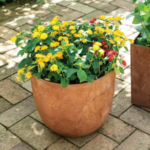 A[gXg[v^[ GbOM v^[ Aؔ Jo[ G95313