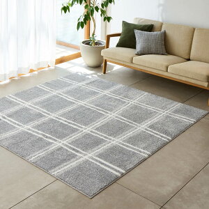 ���190×240cm�� �t�@�u���[�Y���r���O���O ���O �O�~ �J�[�y�b�g �}�b�g 654706 �_LINE�F�����o�^�ŃN�[�|���^