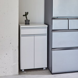 yN[|10OFF 12/5z y2ʁzy[̂ӂŊJ ʃ_XgS 50.5cm Lb`  _Xg{bNX 527516