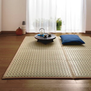 ���261×352cm �ӂ������14mm�� �ӂ����炢�����O �|��D �J�[�y�b�g ���O �}�b�g 654533 �_LINE�F�����o�^�ŃN�[�|���^
