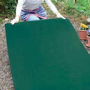 hV[g1×10m 2g  ECB746