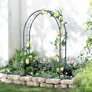 奥行16cmの花だんアーチ ガーデニンググッズ G86607