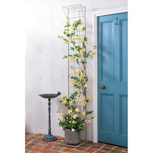 yN[|zz yVX[p[SALEz v^[t[YgX p[St XEO[ { u RpNg   K[fjO bN KN g X G86612