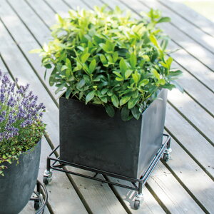 A[gXg[v^[ LX^[t L[uL v^[ Aؔ Jo[ G95317