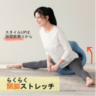 【楽天1位】 柔ら美人 開脚ベター イージースリム プラス ストレッチ 体 トレーニング サポート 開脚 ス…