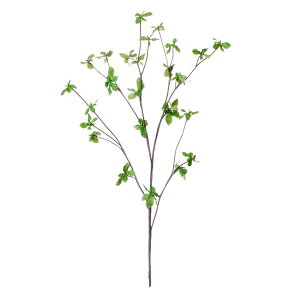 hE_ccW2{g tFCNO[ tFCN CeAO[ lHϗtA  550708