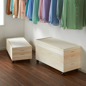 y[`FXgzˈߑP[X 91cm^Cv 3ii1[2j [{bNX [ t[{bNX 532103