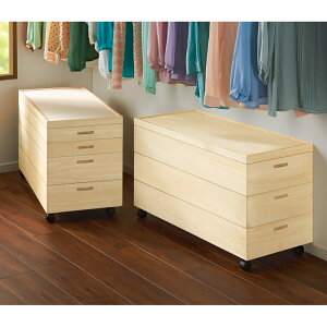 y[`FXgzˈߑP[X 95.5cm^Cv 3ii[3j [{bNX [ t[{bNX 532115