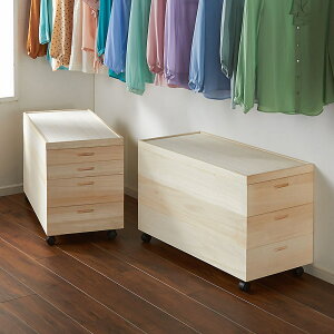 yN[|10OFF 12/11 1F59z ˈߑP[X 91cm^Cv 4ii2[2j [{bNX [ t[{bNX 633104