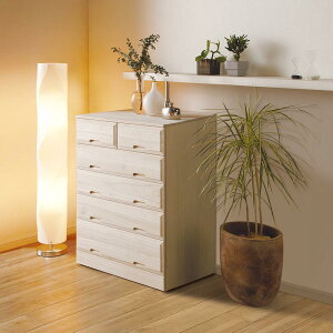 s60cm O˃N[[bg`FXg 75cmE5ii91cmj  N[[bg[ ߗގ[ 590231