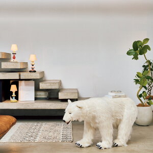 HANSA Aj}Xc[ |[[xA ʂ tBMA zr[G KR0496