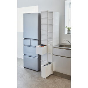 yN[|zz yVX[p[SALEz oςXLb`XgbJ[ 9ii186.5cmjE17cm Lb`XgbJ[ Ԏ[ Lb`[ 541934