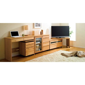 ړ₷LX^[tA_[VR V~fXN`FXg TCh e  528948