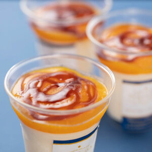 TERAKOYAďCZ}S[v6 mَq mXC[c XC[c َq N94774