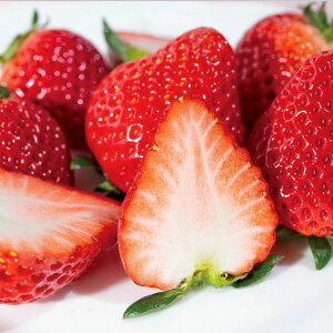 yN[|ő5~OFF 11/14 10z y3͂z ʐ[JYu܂䕁v 450giv2pbNj t[c  ʕ FK0719