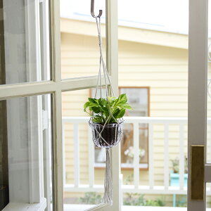 観葉植物 ポトス ハンギングの人気商品 通販 価格比較 価格 Com 観葉植物 ポトス ハンギングの人気商品 通販 価格比較 価格 Com