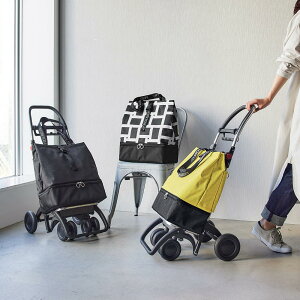 ロルサー ショッピングカート 4輪の通販 価格比較 価格 Com