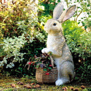 yN[|10OFF 12/11 1F59z 삤̂}v^[ v^[ Aؔ Jo[ G85005