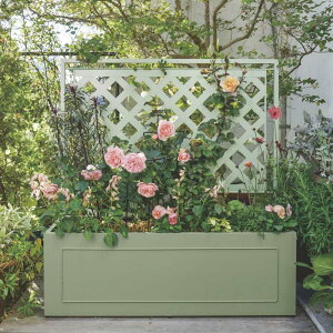 �y�N�[�|��10��OFF 4/17 9�F59���z �����g�����X�t���v�����^�[�{�b�N�X�q�Z�[�W�O���[���r����102cm G01003 �_LINE�F�����o�^�ŃN�[�|���^