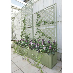 �y�N�[�|��10��OFF 4/17 9�F59���z �����g�����X�t���v�����^�[�{�b�N�X�q�Z�[�W�O���[���r����220cm G01005 �_LINE�F�����o�^�ŃN�[�|���^