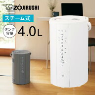 【クーポン配布】 象印 スチーム式加湿器 EE-DG50 4Lタイプ 加湿器 WY1157 ＼LINE友だち登録でクーポン／