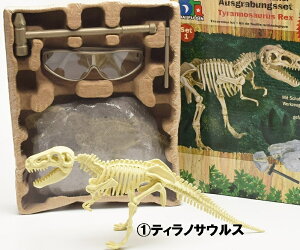   @Lbg i͌^ LbY D {ǐ _Ci\[ R v[g bi216