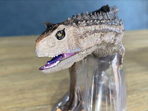  tBMA Jm^EX A _Ci\[  LbY D v[g M~bN df005-ct