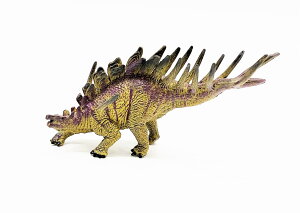  tBMA PgTEX A ͌^ _Ci\[  LbY D v[g dh007_ce