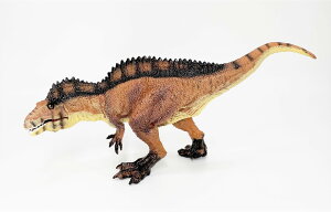  tBMA ANJgTEX _Ci\[ A f LbY D  v[g df008_ac