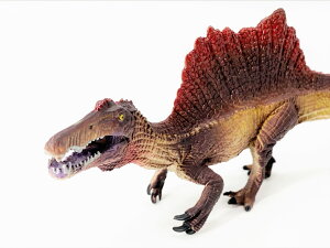  tBMA XsmTEX _Ci\[ ̂ЂTCY  IW bh LbY  v[g df048_sp