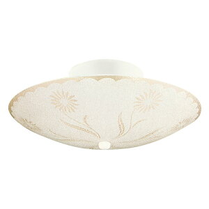 yzyV[OCgzAeB[N T[N V[OCg ő60W CeACg   L Ki gC ʏ VƖ LEDΉ CeAƖ  Q