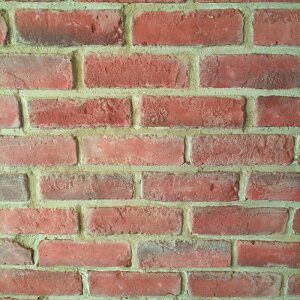 ubNXg[ | K/AeB[Nbh170