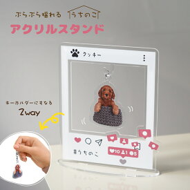 【オーダーメイド】名入れ アクリルスタンド ペット 写真 インスタ風 キーホルダー オリジナル アクスタ アクリル フォト 誕生日 プレゼント メモリアル 写真たて フォトスタンド 誕生日 出産祝い 国産 日本製 かわいい うちのこ 記念 想い出