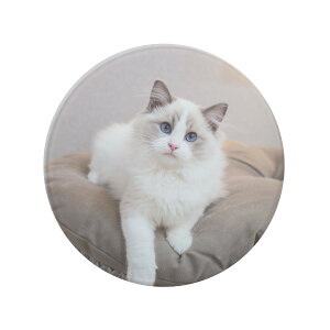 yʐ^vgz ʐ^ R[X^[ Iׂ2^Cv ׂ~ St Lb` JtF ObY CeA  킢 k Lb`G OXu Rbvu  