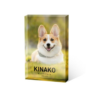 yʐ^zybgʔv KXubN CeA tHgt[ NX^ v[g  ybg  d ʔv e KX  ʐ^ LO  ʐ^ vg A v