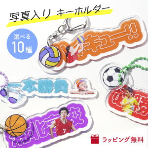 yViEZz~jL[z_[t L[z_[  X|[c  O C[WJ[ l[v[g lC 킢 L[z_[ O  cLOi 