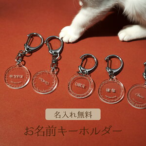 y ꖳ [  z l[v[g L[z_[ qD  ybg ybgObY ANv[g  ˂ ybgpi AN Mtg v[g D l[^O