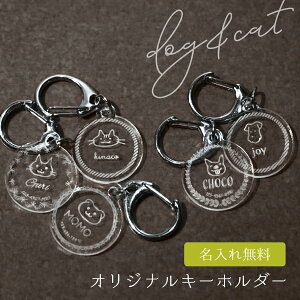 y ꖳ [  z l[v[g L[z_[ qD  ybg ybgObY ANv[g  ˂ ybgpi AN Mtg v[g D l[^O