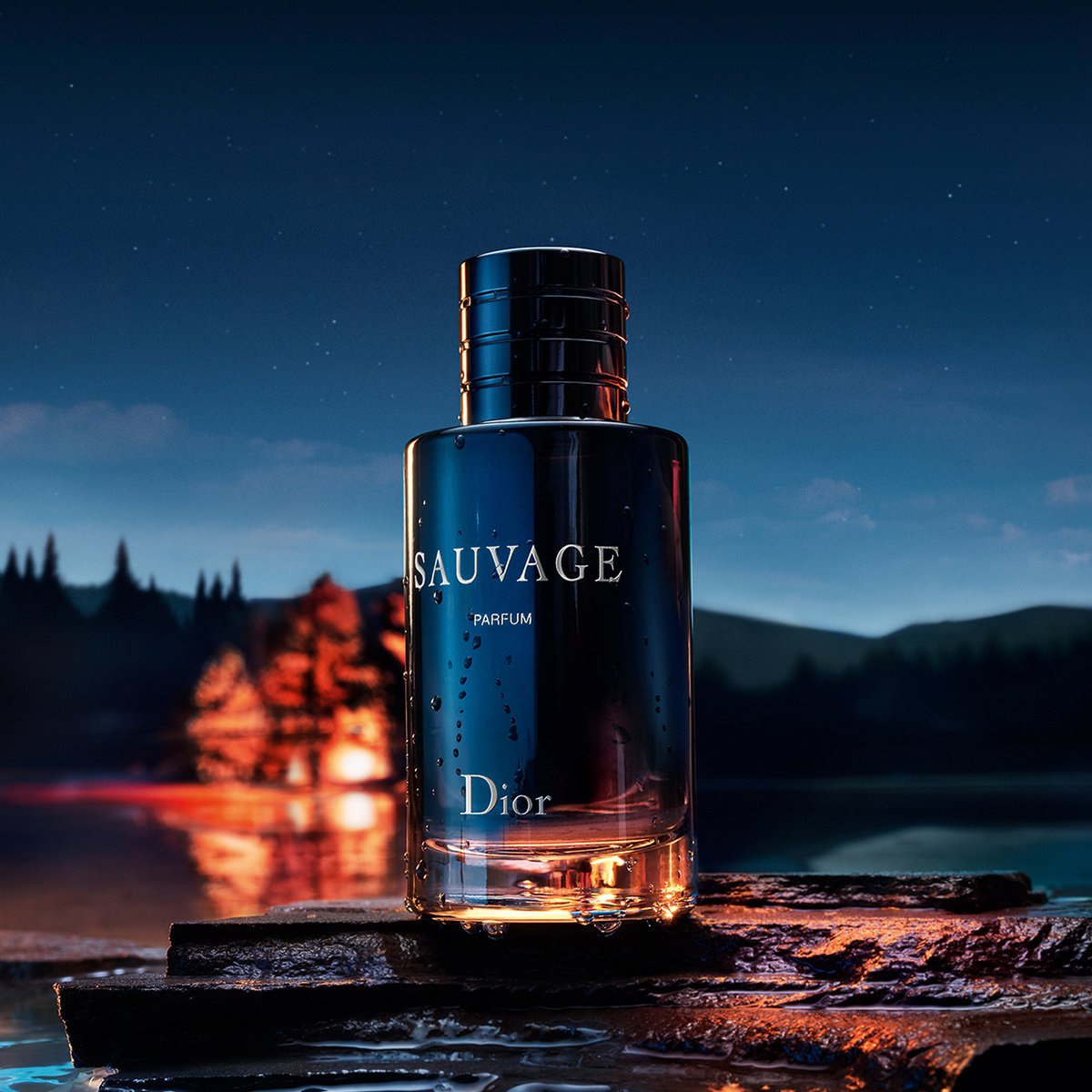 Dior ディオール ソヴァージュ パルファン Sauvage Parfum 60ml | DIO GRECO