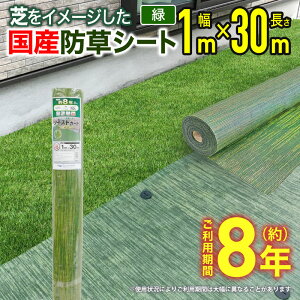 yz hV[g G΍ cCXgK[h  1mx30m Ő̂悤Ȍi Y ͐D G}  RXgk ȗ͉ Z  ؉ n Vxn _CIyΏہz y_CIu