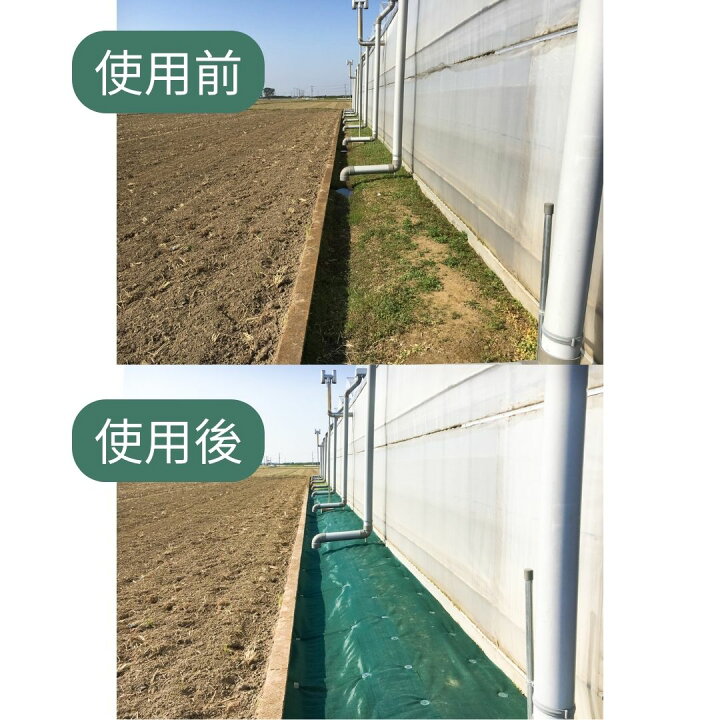 楽天市場】【公式】 防草メッシュ 1mx50m モスグリーン 根を残し地面を 